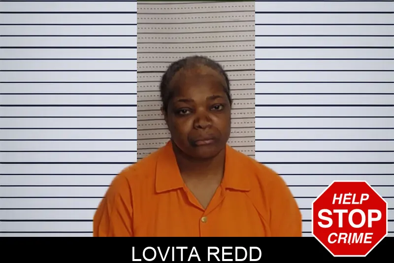 Lovita Redd mugshot – Rockdale County , Georgia Lovita Redd mugshot