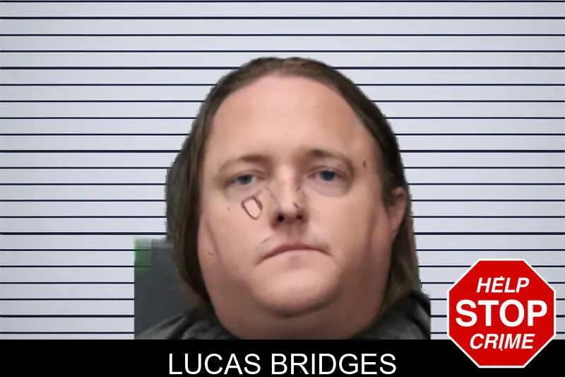 Lucas Bridges mugshot