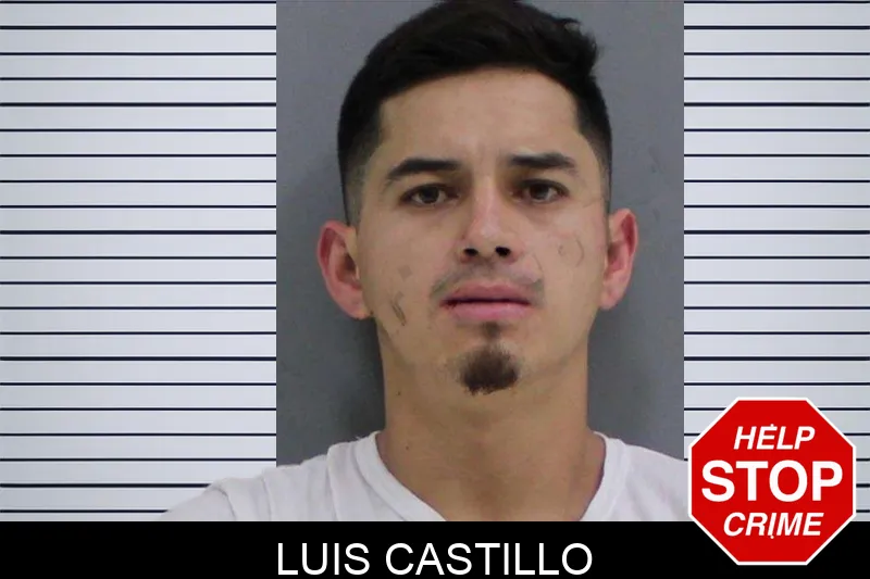 Luis Castillo mugshot