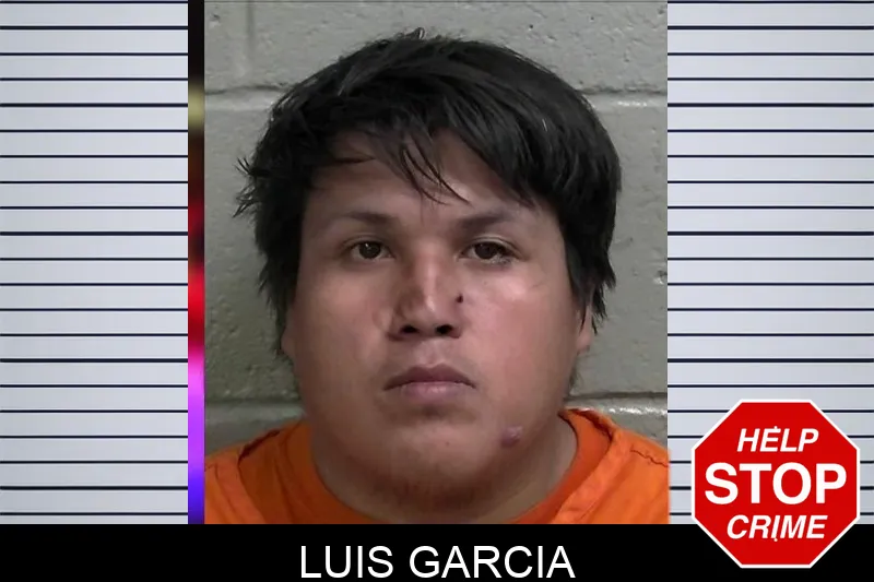 Luis Garcia mugshot