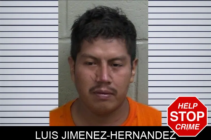 Luis Jimenez-Hernandez mugshot – Wayne County , Georgia Luis Jimenez-Hernandez mugshot