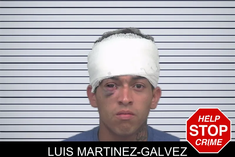 Luis Martinez-Galvez mugshot
