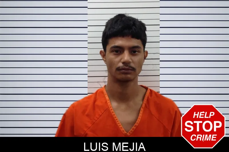 Luis Mejia mugshot