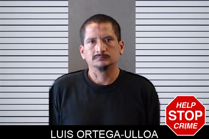 Luis Ortega-Ulloa mugshot
