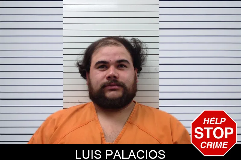 Luis Palacios mugshot – Pickens County , Georgia Luis Palacios mugshot