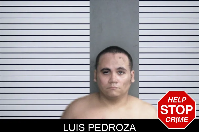 Luis Pedroza mugshot – Twiggs County , Georgia Luis Pedroza mugshot