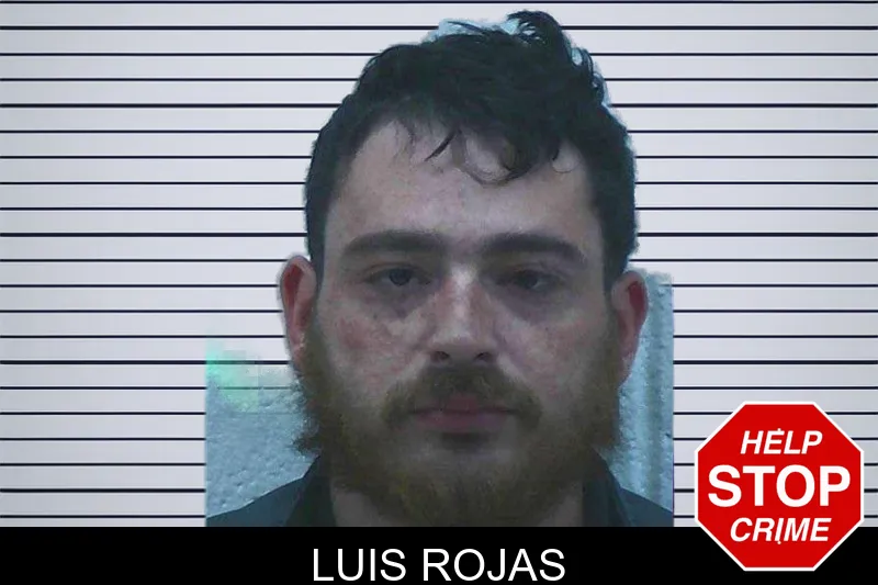 Luis Rojas mugshot