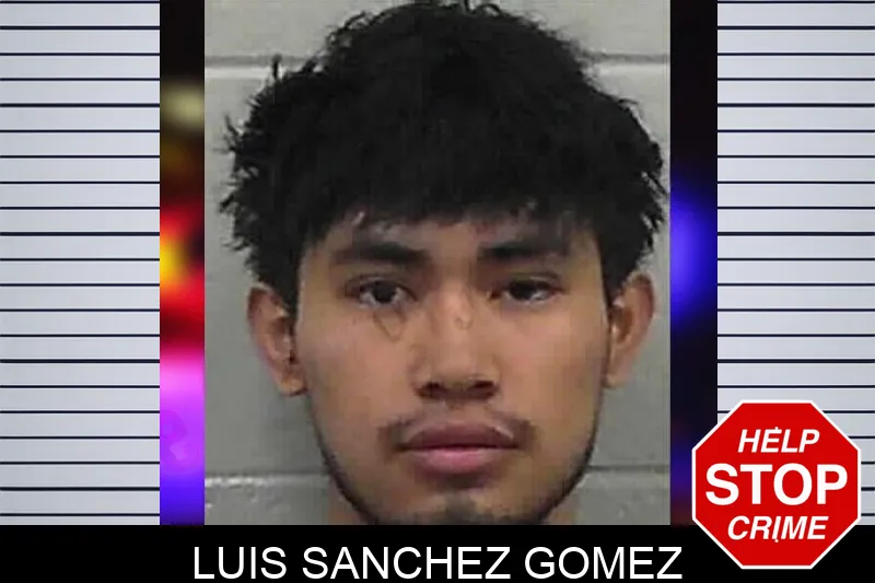 Luis Sanchez Gomez mugshot