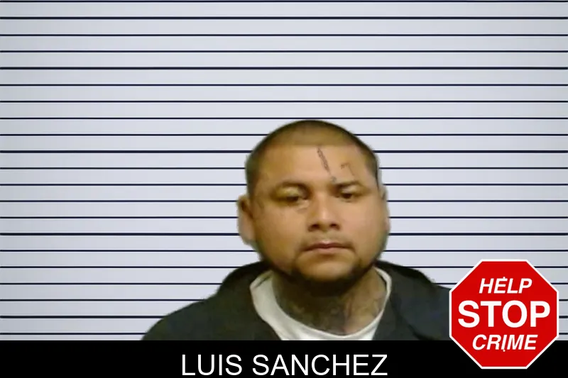 Luis Sanchez mugshot