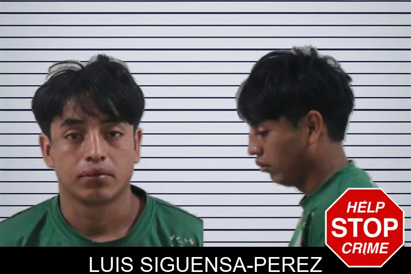 Luis Siguensa-Perez mugshot