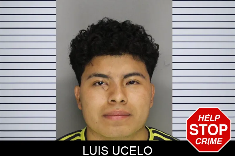 Luis Ucelo mugshot