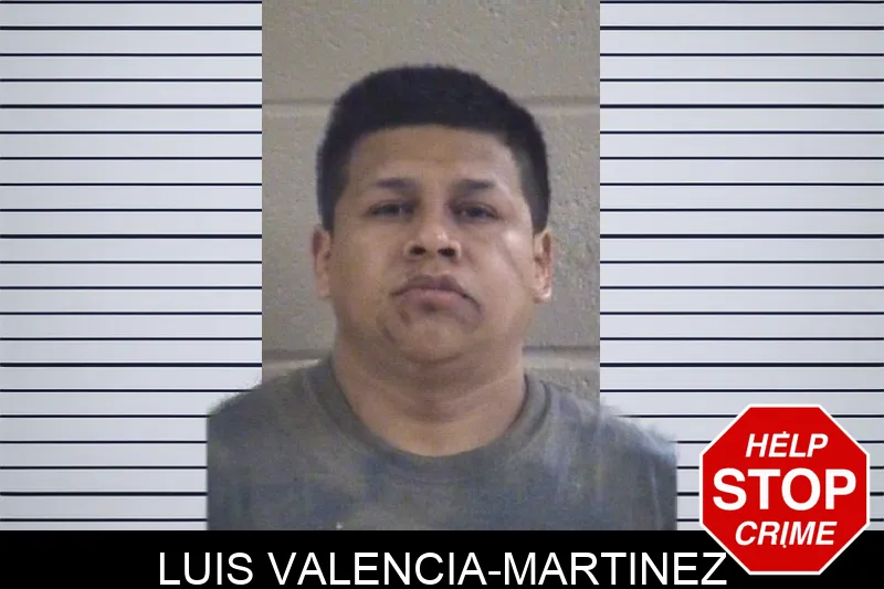 Luis Valencia-Martinez mugshot