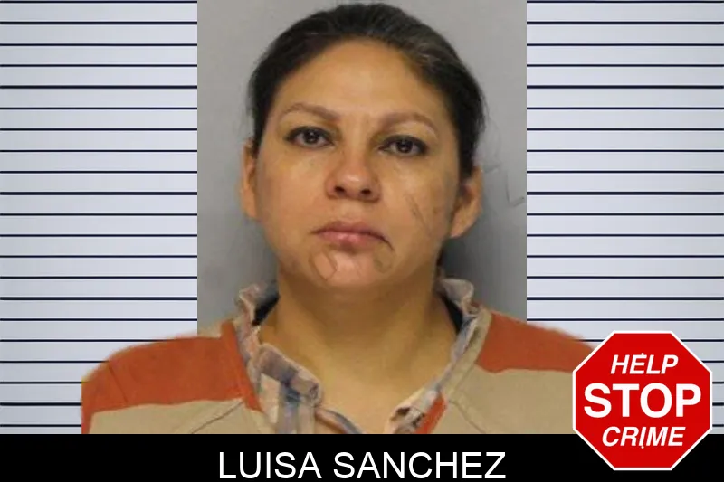 Luisa Sanchez mugshot – Hall County , Georgia Luisa Sanchez mugshot
