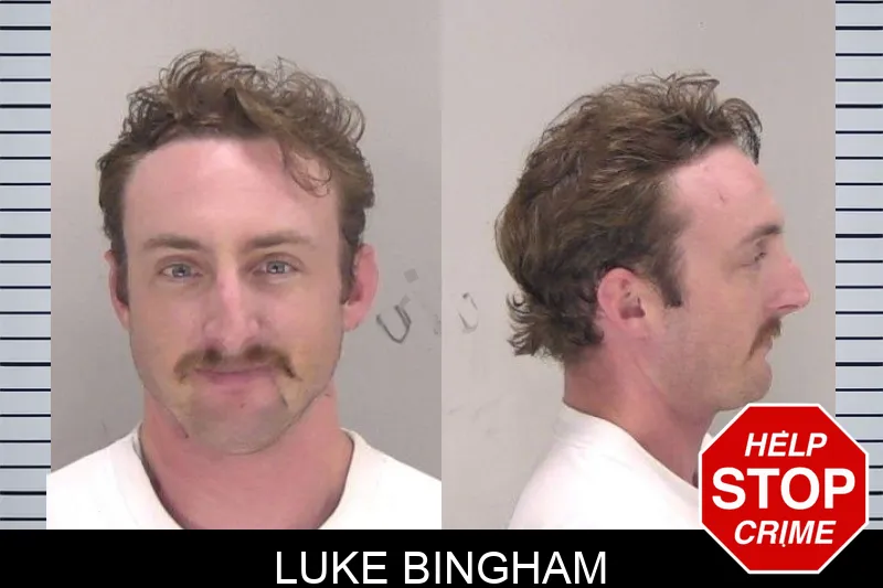 Luke Bingham mugshot