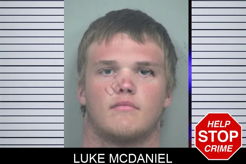 Luke McDaniel mugshot – Gwinnett County , Georgia Luke McDaniel mugshot
