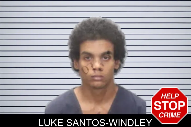 Luke Santos-Windley mugshot