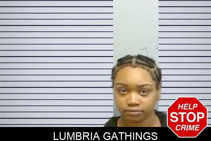 Lumbria Gathings mugshot