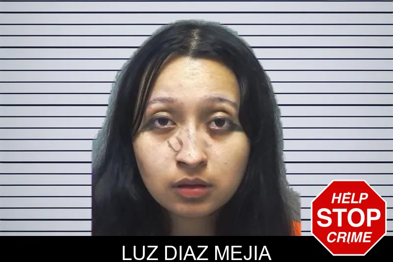 Luz Diaz Mejia mugshot
