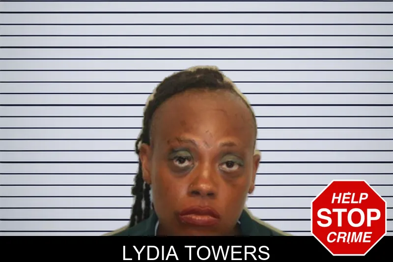 Lydia Towers mugshot