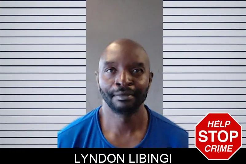 Lyndon Libingi mugshot