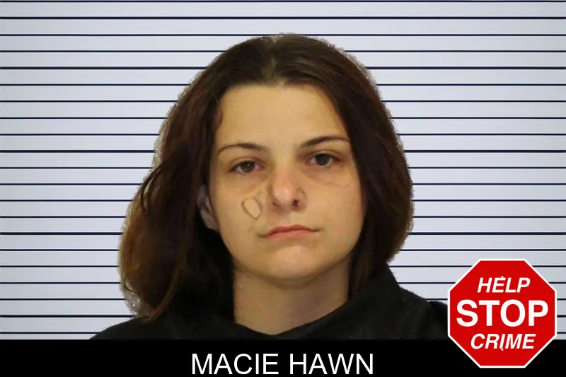 Macie Hawn mugshot