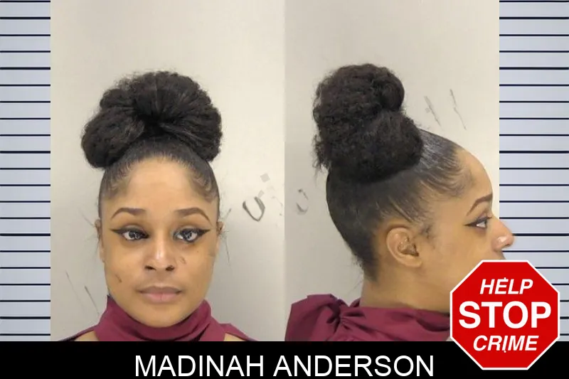 Madinah Anderson mugshot