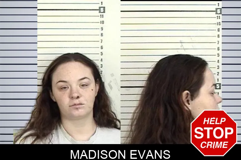 Madison Evans mugshot