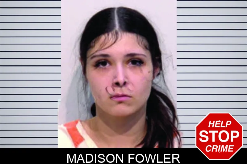Madison Fowler mugshot – Bartow County , Georgia Madison Fowler mugshot