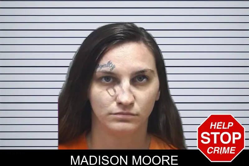 Madison Moore mugshot – Cherokee County , Georgia Madison Moore mugshot