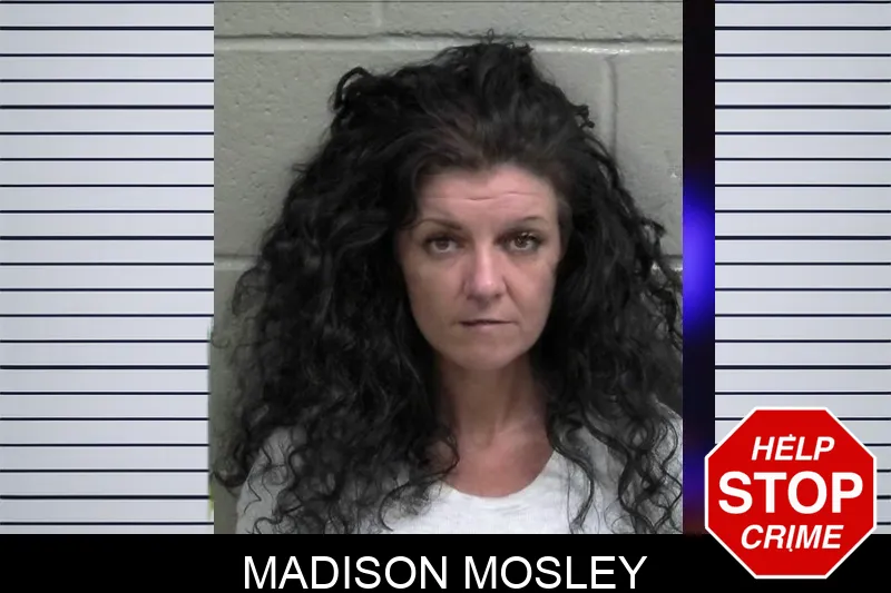 Madison Mosley mugshot