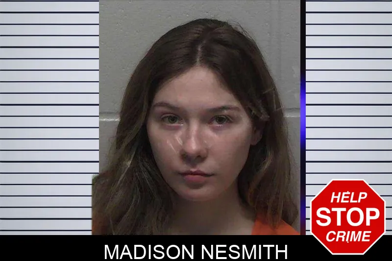 Madison Nesmith mugshot