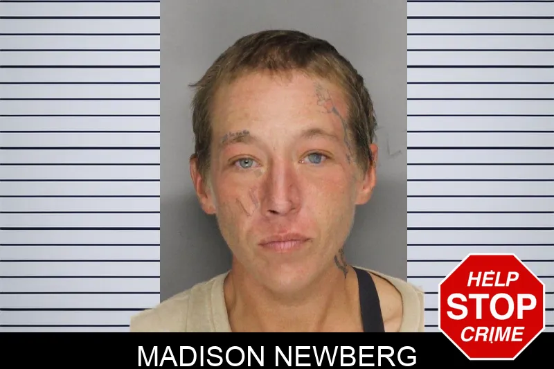 Madison Newberg mugshot