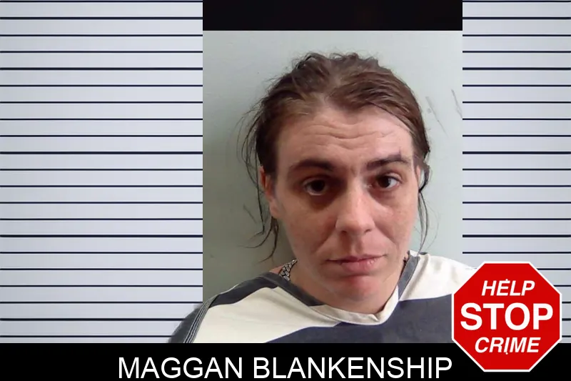 Maggan Blankenship mugshot – Evans County , Georgia Maggan Blankenship mugshot