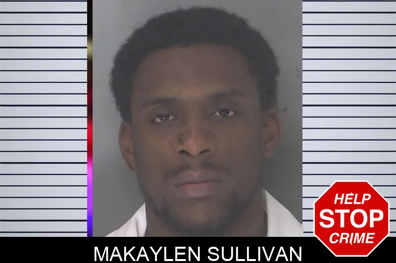 Makaylen Sullivan mugshot – Douglas County , Georgia Makaylen Sullivan mugshot