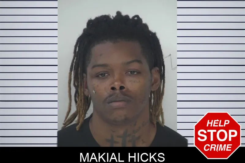Makial Hicks mugshot – Fayette County , Georgia Makial Hicks mugshot