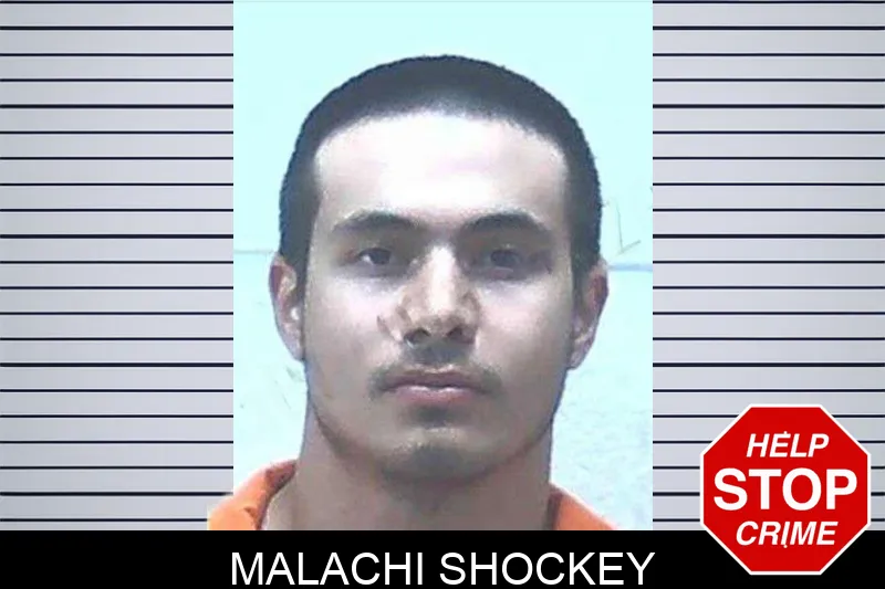 Malachi Shockey mugshot – Jackson County , Georgia Malachi Shockey mugshot