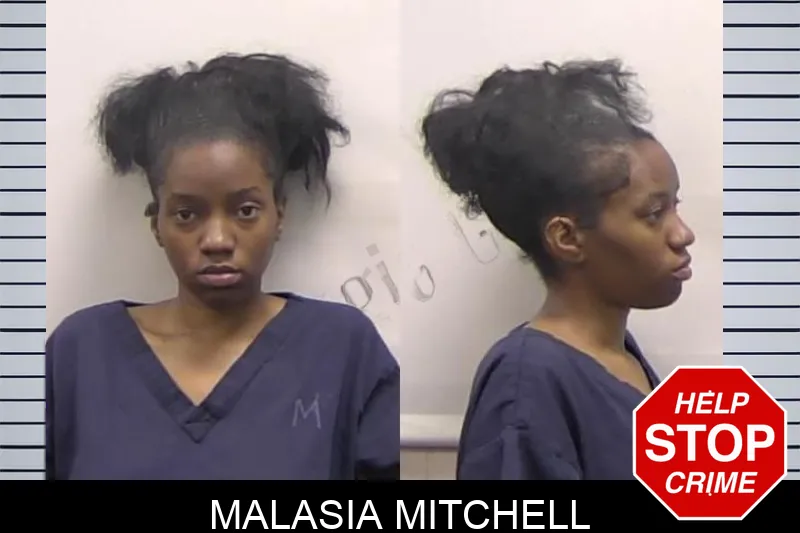 Malasia Mitchell mugshot – Clarke County , Georgia Malasia Mitchell mugshot