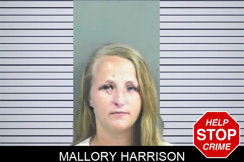 Mallory Harrison mugshot – Mitchell County , Georgia Mallory Harrison mugshot
