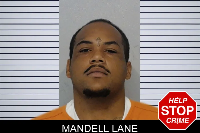 Mandell Lane mugshot – Bibb County , Georgia Mandell Lane mugshot