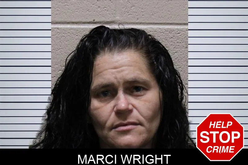 Marci Wright mugshot – Haralson County , Georgia Marci Wright mugshot