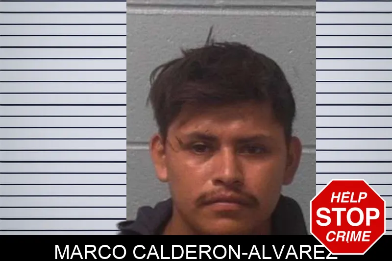 Marco Calderon-Alvarez mugshot