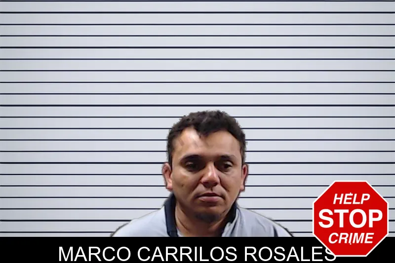 Marco Carrilos Rosales mugshot