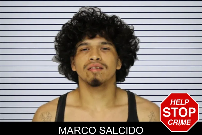 Marco Salcido mugshot