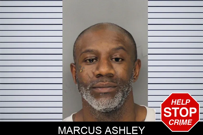 Marcus Ashley mugshot