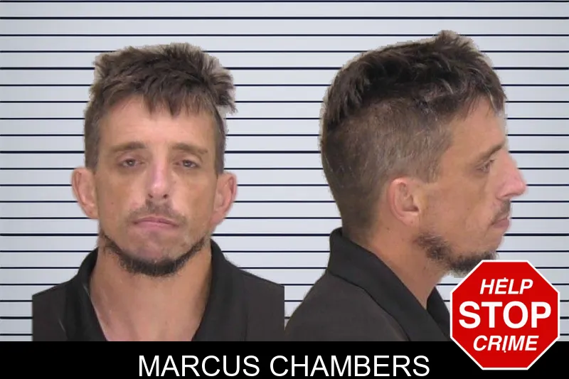 Marcus Chambers mugshot