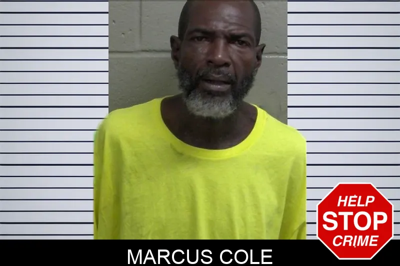 Marcus Cole mugshot – Wayne County , Georgia Marcus Cole mugshot