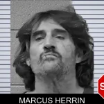 Marcus Herrin mugshot
