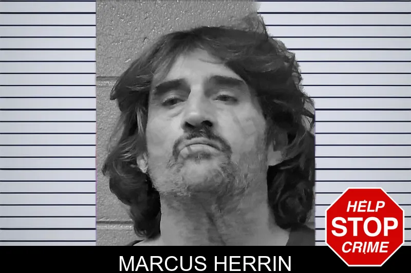 Marcus Herrin mugshot