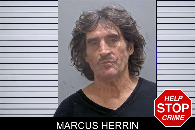 Marcus Herrin mugshot