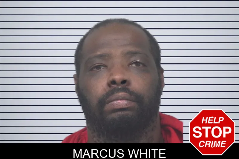 Marcus White mugshot – Gwinnett County , Georgia Marcus White mugshot